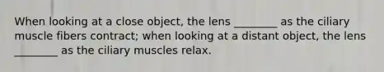 When looking at a close object, the lens ________ as the ciliary muscle fibers contract; when looking at a distant object, the lens ________ as the ciliary muscles relax.