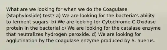 What are we looking for when we do the Coagulase (Staphyloslide) test? a) We are looking for the bacteria's ability to ferment sugars. b) We are looking for Cytochrome C Oxidase protein in the bacterial c) We are looking for the catalase enzyme that neutralizes hydrogen peroxide. d) We are looking for agglutination by the coagulase enzyme produced by S. auerus.