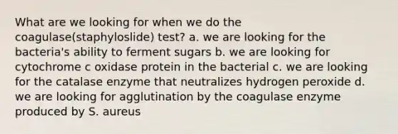 What are we looking for when we do the coagulase(staphyloslide) test? a. we are looking for the bacteria's ability to ferment sugars b. we are looking for cytochrome c oxidase protein in the bacterial c. we are looking for the catalase enzyme that neutralizes hydrogen peroxide d. we are looking for agglutination by the coagulase enzyme produced by S. aureus