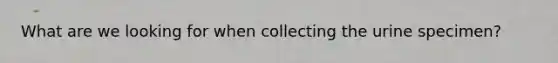 What are we looking for when collecting the urine specimen?