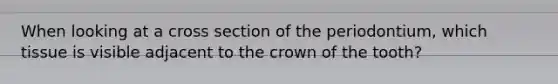 When looking at a cross section of the periodontium, which tissue is visible adjacent to the crown of the tooth?