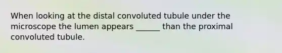 When looking at the distal convoluted tubule under the microscope the lumen appears ______ than the proximal convoluted tubule.