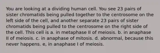 You are looking at a dividing human cell. You see 23 pairs of sister chromatids being pulled together to the centrosome on the left side of the cell, and another separate 23 pairs of sister chromatids being pulled to the centrosome on the right side of the cell. This cell is a. in metaphase II of meiosis. b. in anaphase II of meiosis. c. in anaphase of mitosis. d. abnormal, because this never happens. e, in anaphase I of meiosis.