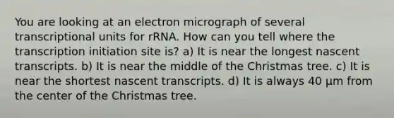 You are looking at an electron micrograph of several transcriptional units for rRNA. How can you tell where the transcription initiation site is? a) It is near the longest nascent transcripts. b) It is near the middle of the Christmas tree. c) It is near the shortest nascent transcripts. d) It is always 40 µm from the center of the Christmas tree.