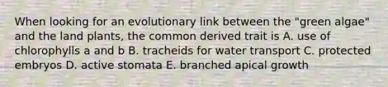 When looking for an evolutionary link between the "green algae" and the land plants, the common derived trait is A. use of chlorophylls a and b B. tracheids for water transport C. protected embryos D. active stomata E. branched apical growth