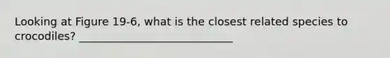 Looking at Figure 19-6, what is the closest related species to crocodiles? ____________________________