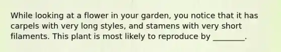 While looking at a flower in your garden, you notice that it has carpels with very long styles, and stamens with very short filaments. This plant is most likely to reproduce by ________.