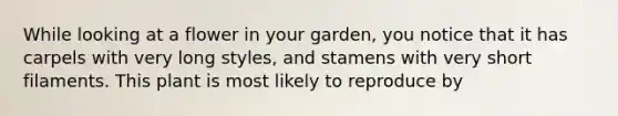 While looking at a flower in your garden, you notice that it has carpels with very long styles, and stamens with very short filaments. This plant is most likely to reproduce by