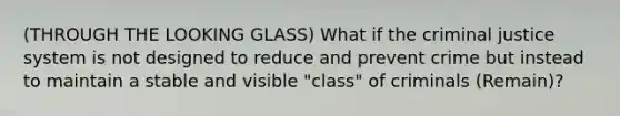 (THROUGH THE LOOKING GLASS) What if the criminal justice system is not designed to reduce and prevent crime but instead to maintain a stable and visible "class" of criminals (Remain)?