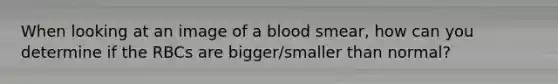 When looking at an image of a blood smear, how can you determine if the RBCs are bigger/smaller than normal?