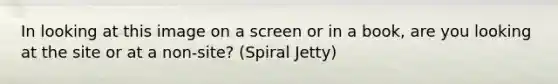 In looking at this image on a screen or in a book, are you looking at the site or at a non-site? (Spiral Jetty)