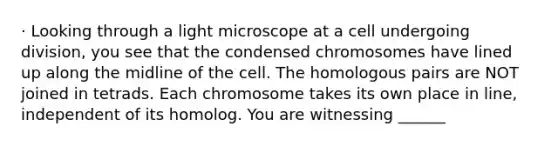 · Looking through a light microscope at a cell undergoing division, you see that the condensed chromosomes have lined up along the midline of the cell. The homologous pairs are NOT joined in tetrads. Each chromosome takes its own place in line, independent of its homolog. You are witnessing ______