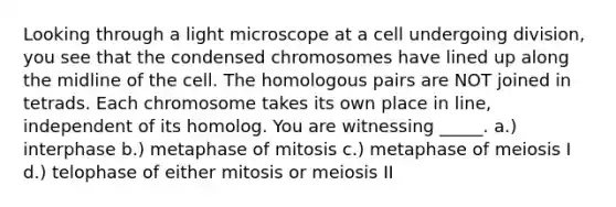 Looking through a light microscope at a cell undergoing division, you see that the condensed chromosomes have lined up along the midline of the cell. The homologous pairs are NOT joined in tetrads. Each chromosome takes its own place in line, independent of its homolog. You are witnessing _____. a.) interphase b.) metaphase of mitosis c.) metaphase of meiosis I d.) telophase of either mitosis or meiosis II