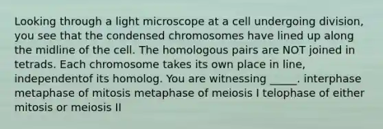 Looking through a light microscope at a cell undergoing division, you see that the condensed chromosomes have lined up along the midline of the cell. The homologous pairs are NOT joined in tetrads. Each chromosome takes its own place in line, independentof its homolog. You are witnessing _____. interphase metaphase of mitosis metaphase of meiosis I telophase of either mitosis or meiosis II