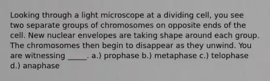 Looking through a light microscope at a dividing cell, you see two separate groups of chromosomes on opposite ends of the cell. New nuclear envelopes are taking shape around each group. The chromosomes then begin to disappear as they unwind. You are witnessing _____. a.) prophase b.) metaphase c.) telophase d.) anaphase