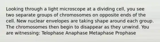 Looking through a light microscope at a dividing cell, you see two separate groups of chromosomes on opposite ends of the cell. New nuclear envelopes are taking shape around each group. The chromosomes then begin to disappear as they unwind. You are witnessing: Telophase Anaphase Metaphase Prophase