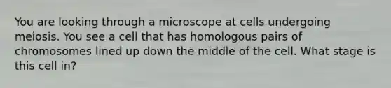 You are looking through a microscope at cells undergoing meiosis. You see a cell that has homologous pairs of chromosomes lined up down the middle of the cell. What stage is this cell in?