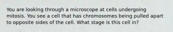 You are looking through a microscope at cells undergoing mitosis. You see a cell that has chromosomes being pulled apart to opposite sides of the cell. What stage is this cell in?