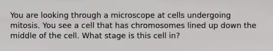 You are looking through a microscope at cells undergoing mitosis. You see a cell that has chromosomes lined up down the middle of the cell. What stage is this cell in?