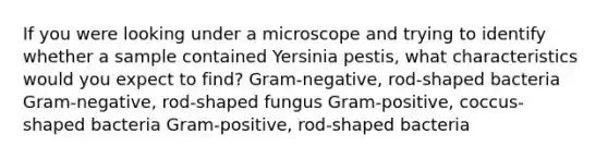 If you were looking under a microscope and trying to identify whether a sample contained Yersinia pestis, what characteristics would you expect to find? Gram-negative, rod-shaped bacteria Gram-negative, rod-shaped fungus Gram-positive, coccus-shaped bacteria Gram-positive, rod-shaped bacteria