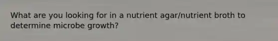 What are you looking for in a nutrient agar/nutrient broth to determine microbe growth?