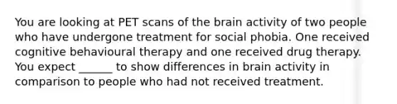 You are looking at PET scans of the brain activity of two people who have undergone treatment for social phobia. One received cognitive behavioural therapy and one received drug therapy. You expect ______ to show differences in brain activity in comparison to people who had not received treatment.