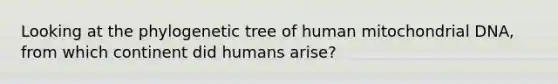 Looking at the phylogenetic tree of human mitochondrial DNA, from which continent did humans arise?