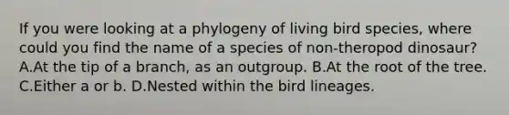 If you were looking at a phylogeny of living bird species, where could you find the name of a species of non-theropod dinosaur? A.At the tip of a branch, as an outgroup. B.At the root of the tree. C.Either a or b. D.Nested within the bird lineages.