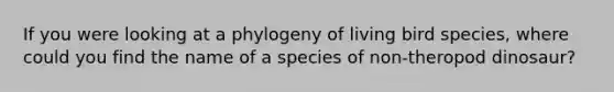 If you were looking at a phylogeny of living bird species, where could you find the name of a species of non-theropod dinosaur?