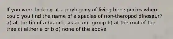 If you were looking at a phylogeny of living bird species where could you find the name of a species of non-theropod dinosaur? a) at the tip of a branch, as an out group b) at the root of the tree c) either a or b d) none of the above