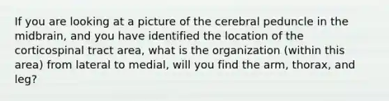 If you are looking at a picture of the cerebral peduncle in the midbrain, and you have identified the location of the corticospinal tract area, what is the organization (within this area) from lateral to medial, will you find the arm, thorax, and leg?