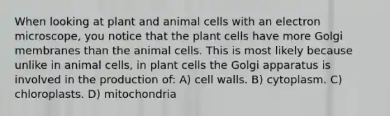 When looking at plant and animal cells with an electron microscope, you notice that the plant cells have more Golgi membranes than the animal cells. This is most likely because unlike in animal cells, in plant cells the Golgi apparatus is involved in the production of: A) cell walls. B) cytoplasm. C) chloroplasts. D) mitochondria