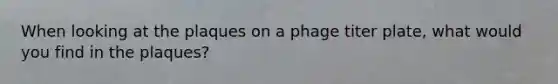 When looking at the plaques on a phage titer plate, what would you find in the plaques?