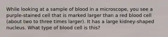 While looking at a sample of blood in a microscope, you see a purple-stained cell that is marked larger than a red blood cell (about two to three times larger). It has a large kidney-shaped nucleus. What type of blood cell is this?