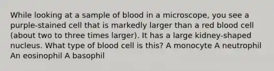 While looking at a sample of blood in a microscope, you see a purple-stained cell that is markedly larger than a red blood cell (about two to three times larger). It has a large kidney-shaped nucleus. What type of blood cell is this? A monocyte A neutrophil An eosinophil A basophil