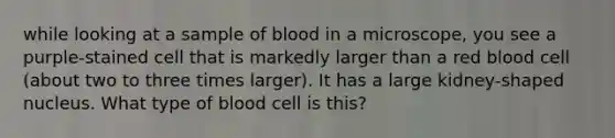 while looking at a sample of blood in a microscope, you see a purple-stained cell that is markedly larger than a red blood cell (about two to three times larger). It has a large kidney-shaped nucleus. What type of blood cell is this?