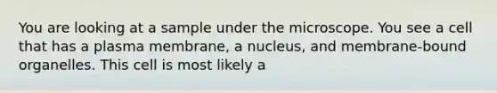 You are looking at a sample under the microscope. You see a cell that has a plasma membrane, a nucleus, and membrane-bound organelles. This cell is most likely a