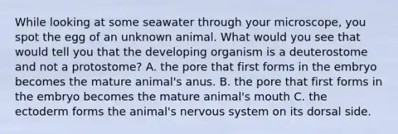 While looking at some seawater through your microscope, you spot the egg of an unknown animal. What would you see that would tell you that the developing organism is a deuterostome and not a protostome? A. the pore that first forms in the embryo becomes the mature animal's anus. B. the pore that first forms in the embryo becomes the mature animal's mouth C. the ectoderm forms the animal's nervous system on its dorsal side.