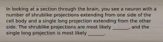 In looking at a section through the brain, you see a neuron with a number of shrublike projections extending from one side of the cell body and a single long projection extending from the other side. The shrublike projections are most likely _______, and the single long projection is most likely _______.