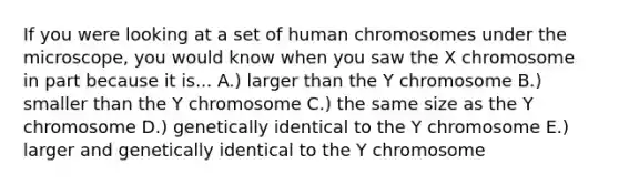 If you were looking at a set of human chromosomes under the microscope, you would know when you saw the X chromosome in part because it is... A.) larger than the Y chromosome B.) smaller than the Y chromosome C.) the same size as the Y chromosome D.) genetically identical to the Y chromosome E.) larger and genetically identical to the Y chromosome