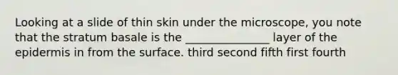 Looking at a slide of thin skin under the microscope, you note that the stratum basale is the _______________ layer of the epidermis in from the surface. third second fifth first fourth