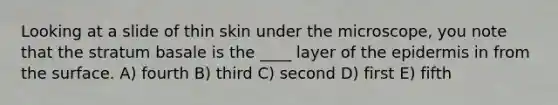 Looking at a slide of thin skin under the microscope, you note that the stratum basale is the ____ layer of the epidermis in from the surface. A) fourth B) third C) second D) first E) fifth