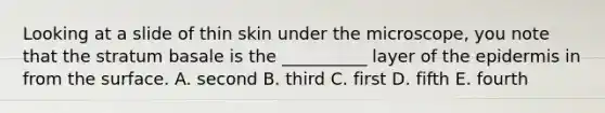 Looking at a slide of thin skin under the microscope, you note that the stratum basale is the __________ layer of <a href='https://www.questionai.com/knowledge/kBFgQMpq6s-the-epidermis' class='anchor-knowledge'>the epidermis</a> in from the surface. A. second B. third C. first D. fifth E. fourth