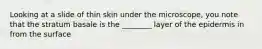 Looking at a slide of thin skin under the microscope, you note that the stratum basale is the ________ layer of the epidermis in from the surface