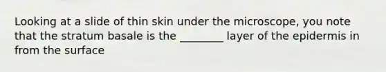 Looking at a slide of thin skin under the microscope, you note that the stratum basale is the ________ layer of the epidermis in from the surface