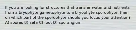 If you are looking for structures that transfer water and nutrients from a bryophyte gametophyte to a bryophyte sporophyte, then on which part of the sporophyte should you focus your attention? A) spores B) seta C) foot D) sporangium