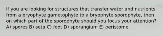 If you are looking for structures that transfer water and nutrients from a bryophyte gametophyte to a bryophyte sporophyte, then on which part of the sporophyte should you focus your attention? A) spores B) seta C) foot D) sporangium E) peristome