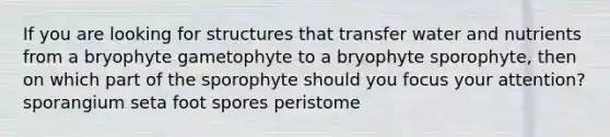 If you are looking for structures that transfer water and nutrients from a bryophyte gametophyte to a bryophyte sporophyte, then on which part of the sporophyte should you focus your attention? sporangium seta foot spores peristome