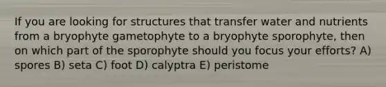 If you are looking for structures that transfer water and nutrients from a bryophyte gametophyte to a bryophyte sporophyte, then on which part of the sporophyte should you focus your efforts? A) spores B) seta C) foot D) calyptra E) peristome