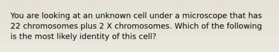 You are looking at an unknown cell under a microscope that has 22 chromosomes plus 2 X chromosomes. Which of the following is the most likely identity of this cell?